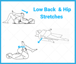 Low Back Stretches