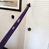 Picture of resistance Power Band with a door anchor